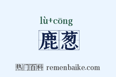 鹿葱是什么意思的图片